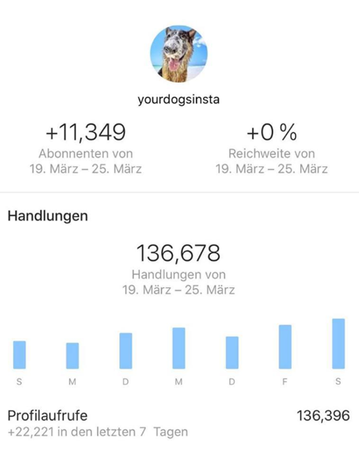 Compte Instagram