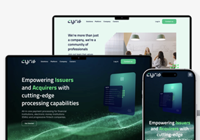 Voidweb Ltd Project - Cyris the all-in-one next-generation payment proce