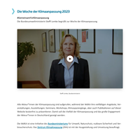 Tojio // Digital Agentur Project - The week of climate adaptation