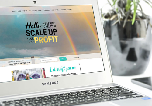 Webcrafter Project - Ecommerce development