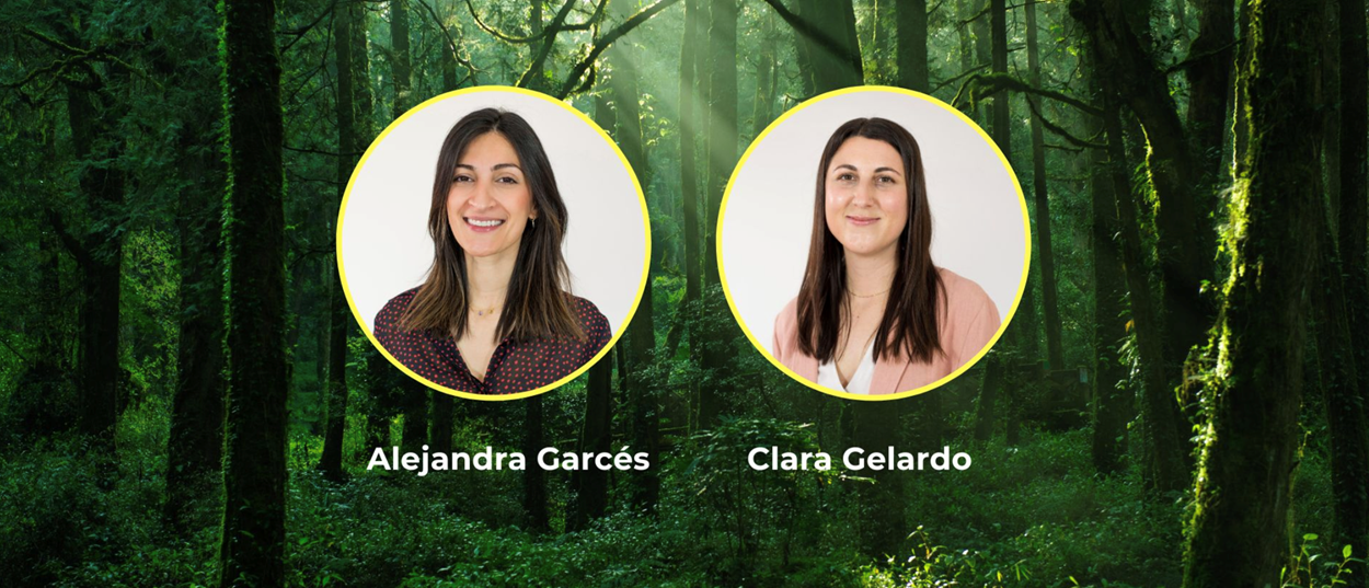 Algaba Studio Team