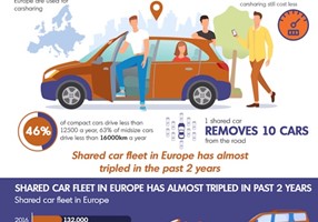 Premium Infographics Project - Car Sharing