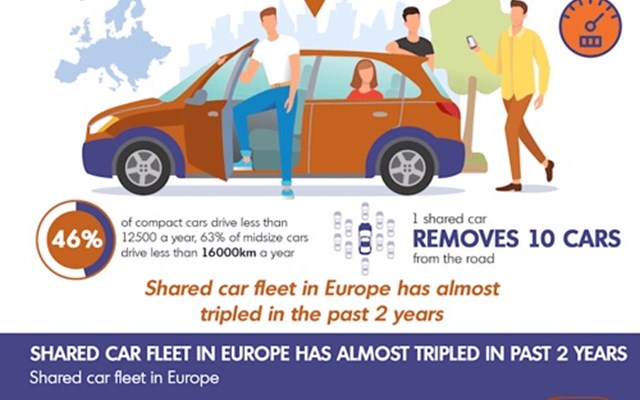 Premium Infographics Project - Car Sharing