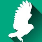 GRAFEX Logo