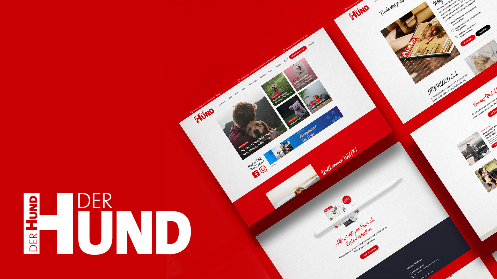 Golden Web Age GmbH Project - Redesign DerHund.de