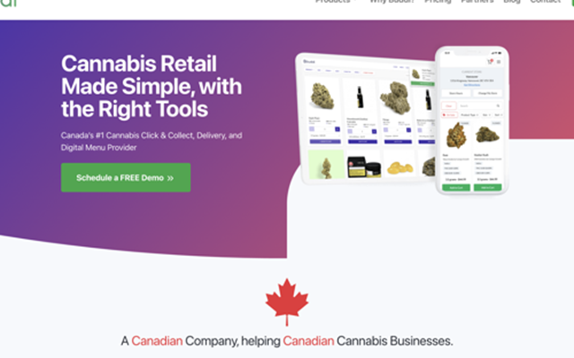 IT Brains Project - Buddi, All-in-One Cannabis Retail Platform