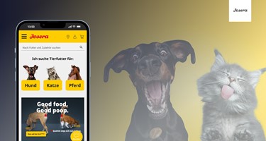7thSENSE GmbH Project - E-commerce support