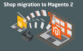 Chudovo OÜ Project - Magento 2 Migration Project