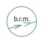 b.r.m. business resource management Logo