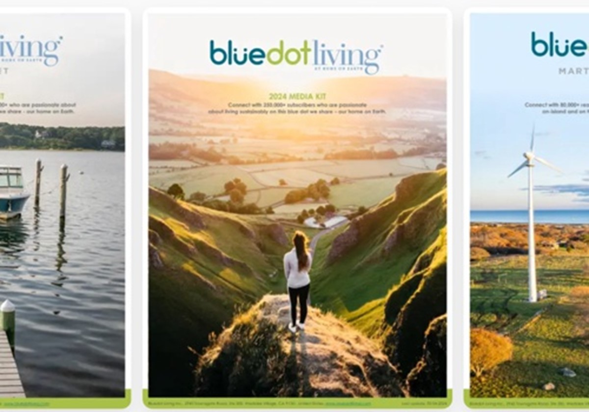 Marketing strategies to reach sustainable brands - Bluedot Living