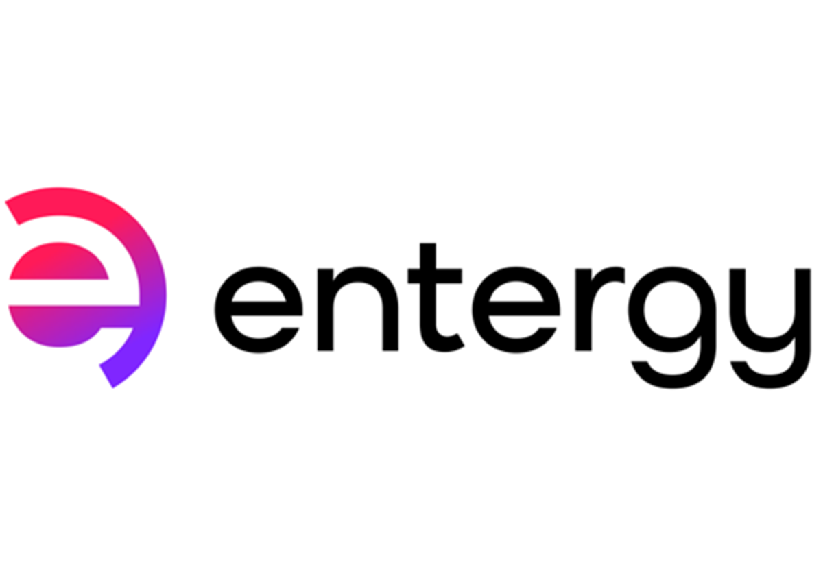 Entergy Staff Augmentation - 