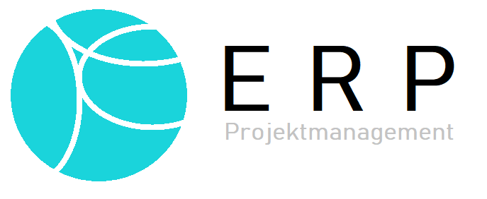ERP Projektmanagement Headerbild