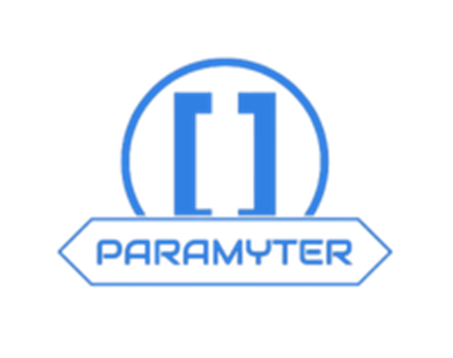 Paramyter Tech Logo