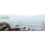 avevita internet service