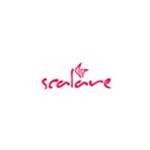 scalare mediendesign