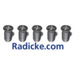 Radicke.com - Strategische Internet Beratung Logo