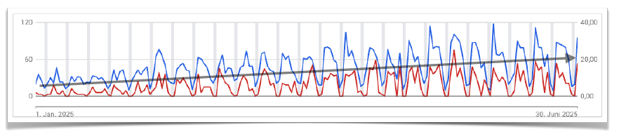 abico UG Project - Optimization of the Google Ads strategy