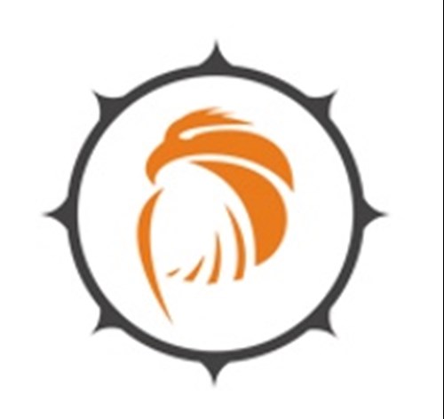 Pattronize InfoTech Logo