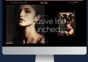 AGENTIE SEO PRO Project - MissTease.ro: Achieving a 21.43 ROAS
