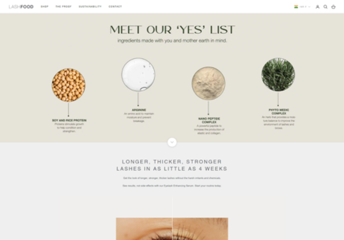 UX Revamp for LASHFOOD’s Online Store - 