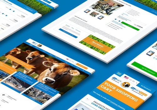 WHITE Digital Agency Project - Global website with B2B webshop - Boumatic