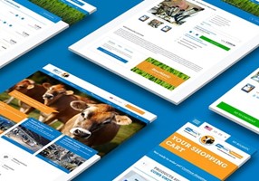 WHITE Digital Agency Project - Global website with B2B webshop - Boumatic