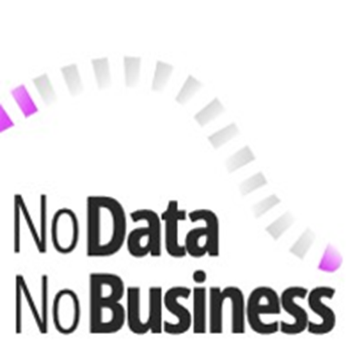 NoDataNoBusiness Logo