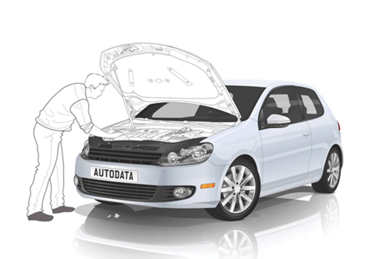 Autodata - Web Application - 