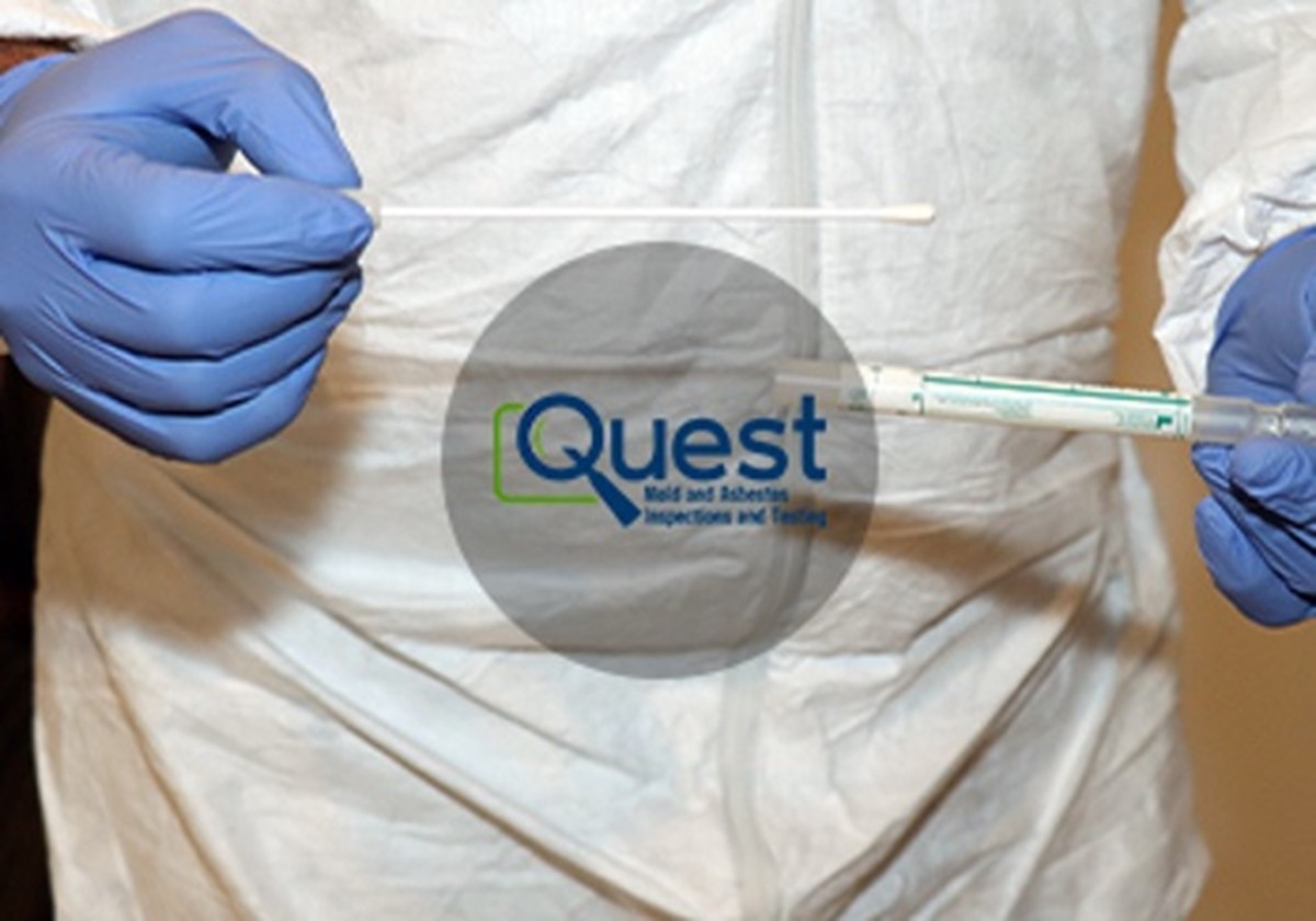 Complete Digital Business Solution - Quest Mold & Asbestos Inspections and Testing