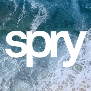 spry GmbH
