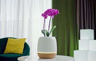 ONMOTIO Project - KORU air purifier and smart planter