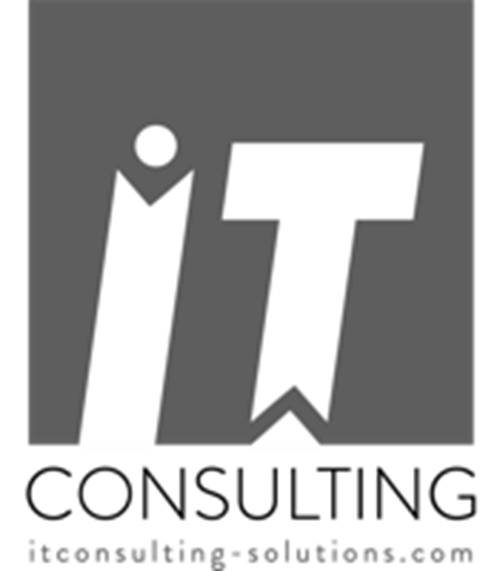 IT CONSULTING Logo