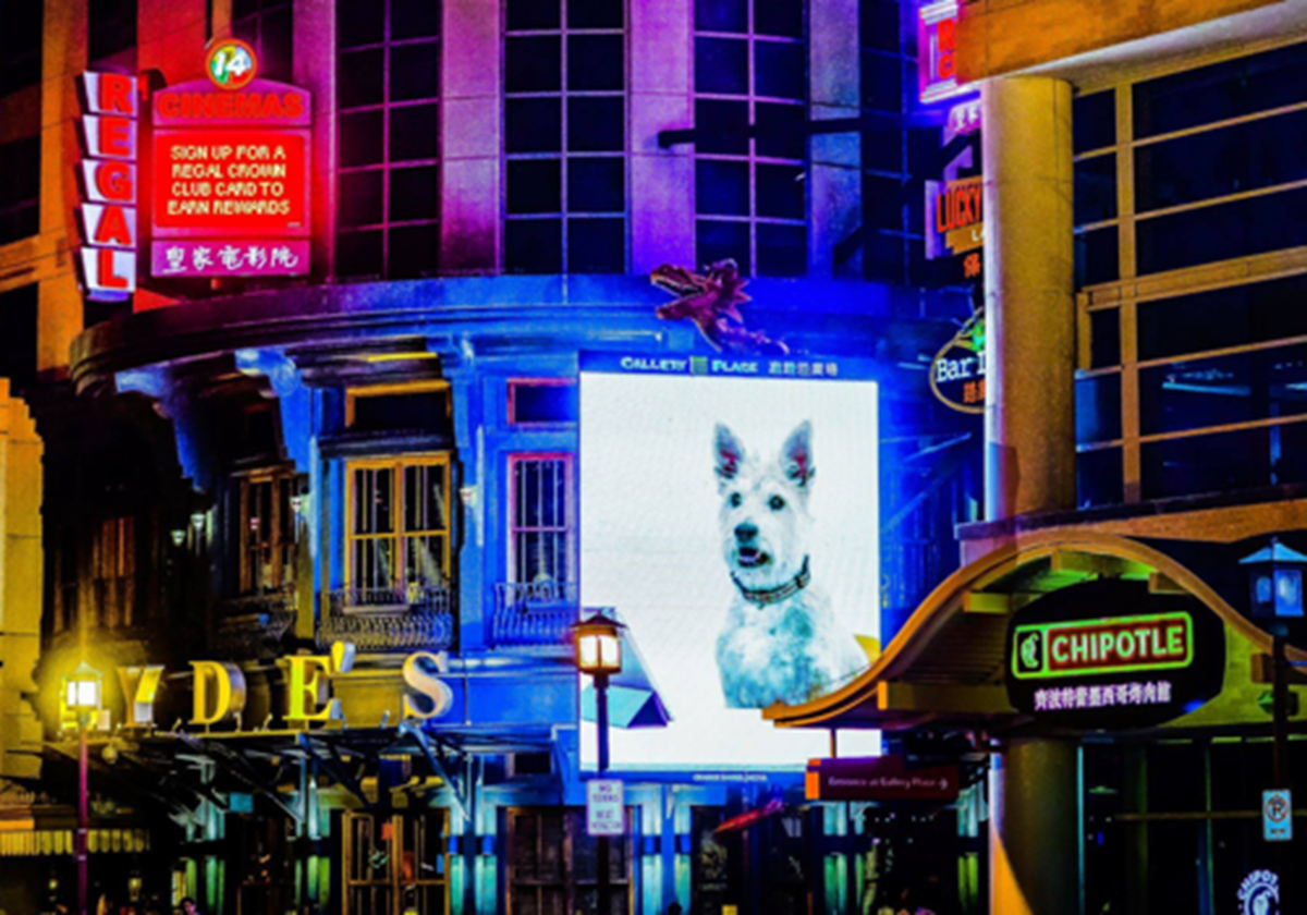 DC Jumbotron - 