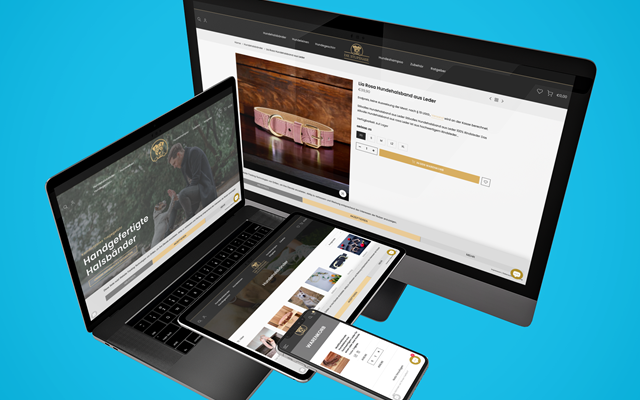 PulseConnect UG Project - porcelain-brandes.com