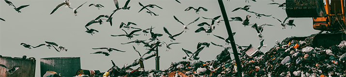 Transforming a Local Landfill Solution into a Global Platform