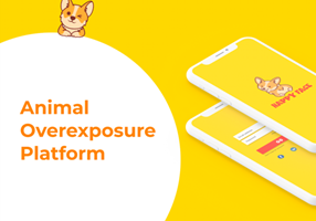 Boostbase Group Project - App Design and Branding