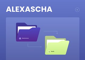 Dinarys GmbH Project - WooCommerce → Shopify migration