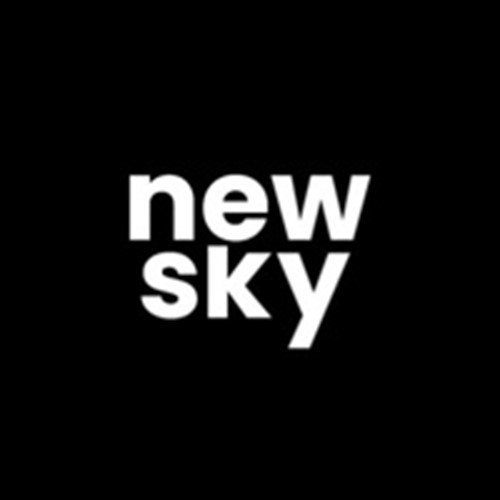newskyagency Logo