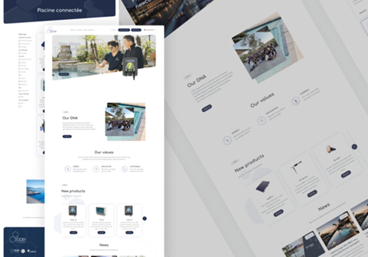 CCEI - Corporate website & B2B platform | STRAPI - 