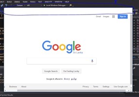BAPits Project - integrated browser
