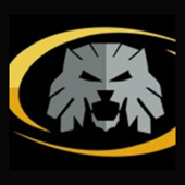 TSplus España, Leontic Innova SL Logo