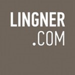 Lingner Consulting New Media