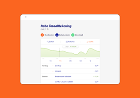 Do IT Big Project - Rabobank - V2 transaction overview