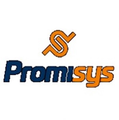 Promisys IT Logo