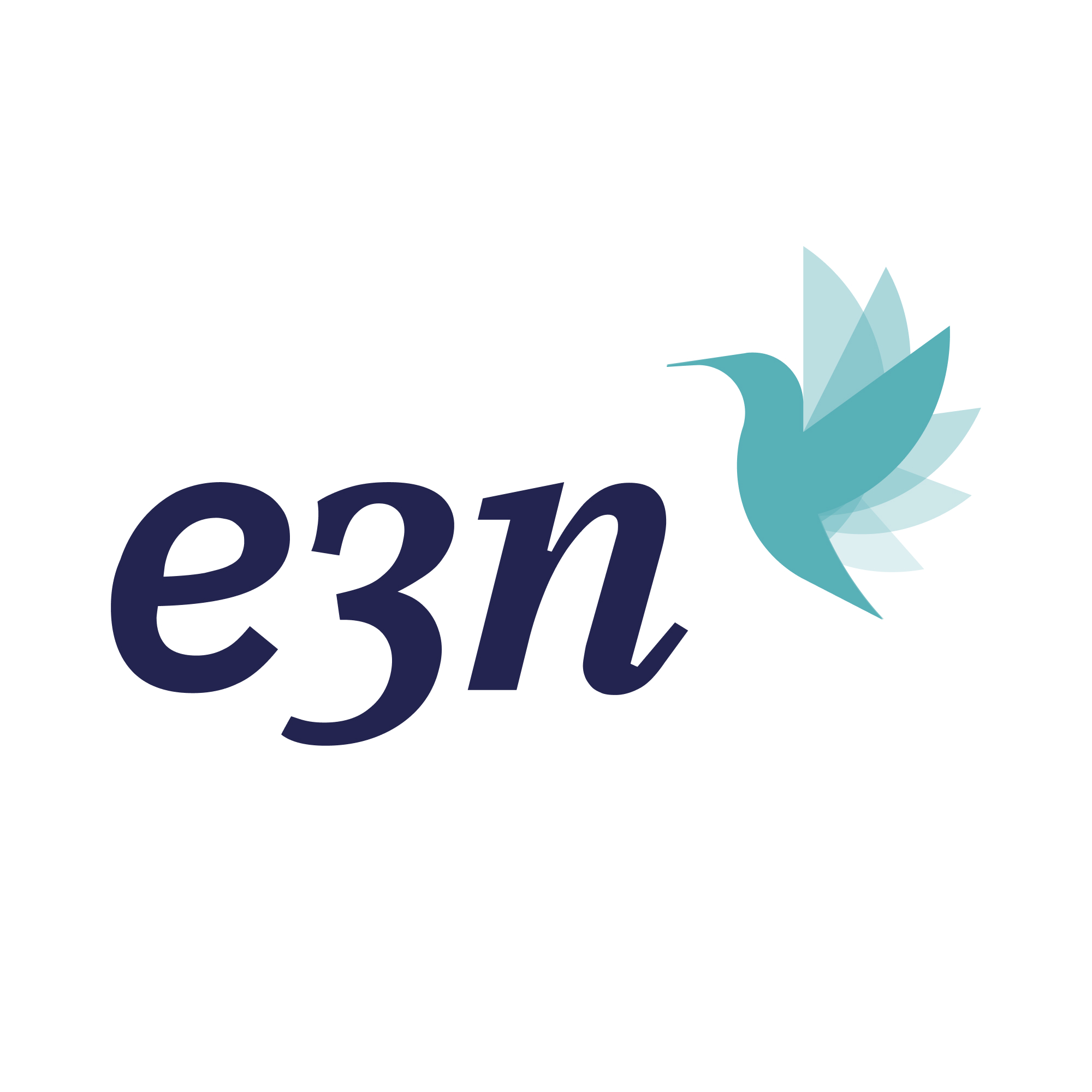 e3n GmbH & Co. KG
