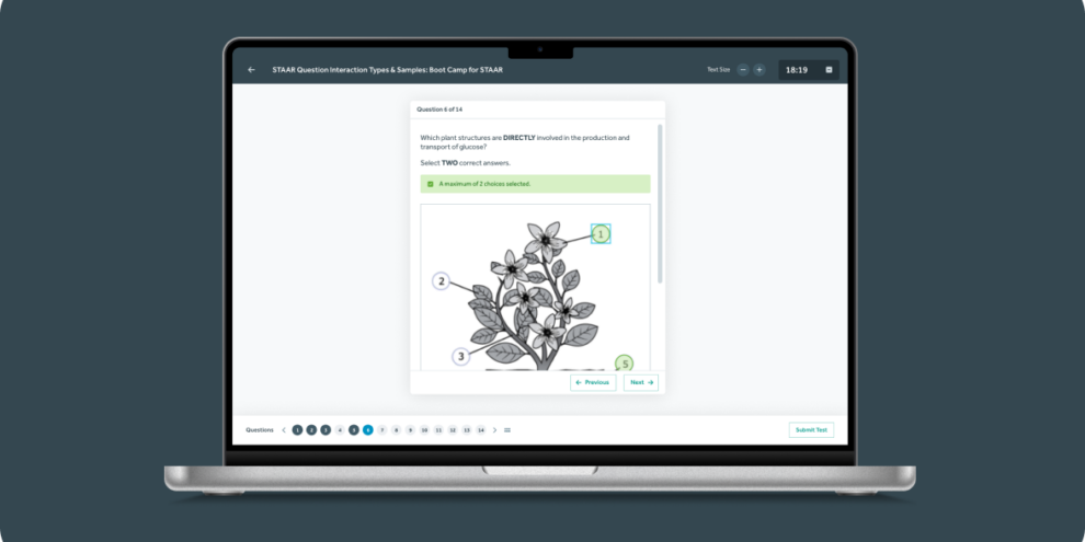 Bamboo Agile Project - QTI Player for Tests