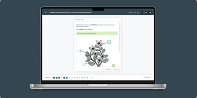 Bamboo Agile Project - QTI Player for Tests