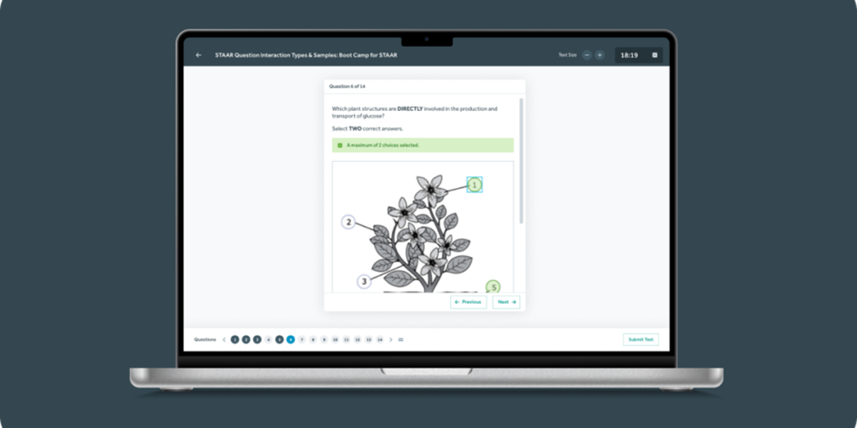 QTI-Player pour les tests - MasteryPrep