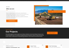 Creative Web Ethiopia Project - website development and logo design for Nikotika