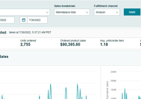 E-Commerce Villa Project - Amazon 5 Figure Sales in the USA